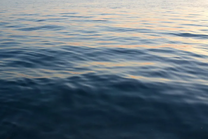Le Schuylkill Monaco Water Ripples